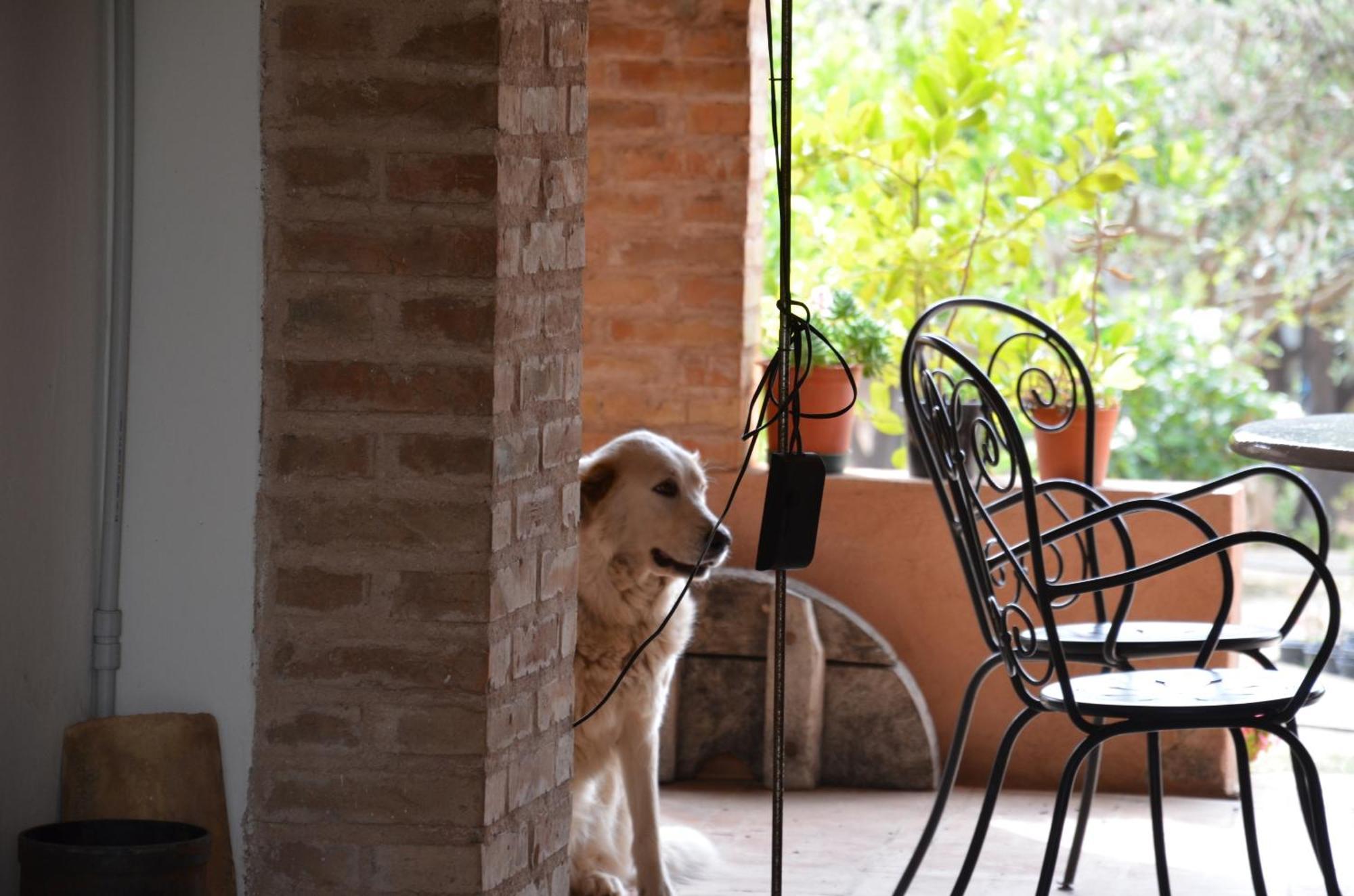 Borgo Piazza Acomodação com café da manhã Catanzaro Quarto foto